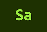 Adobe Substance 3D Sampler(简称Sa直装版) v6.0.3 中文直装版-方舟软库